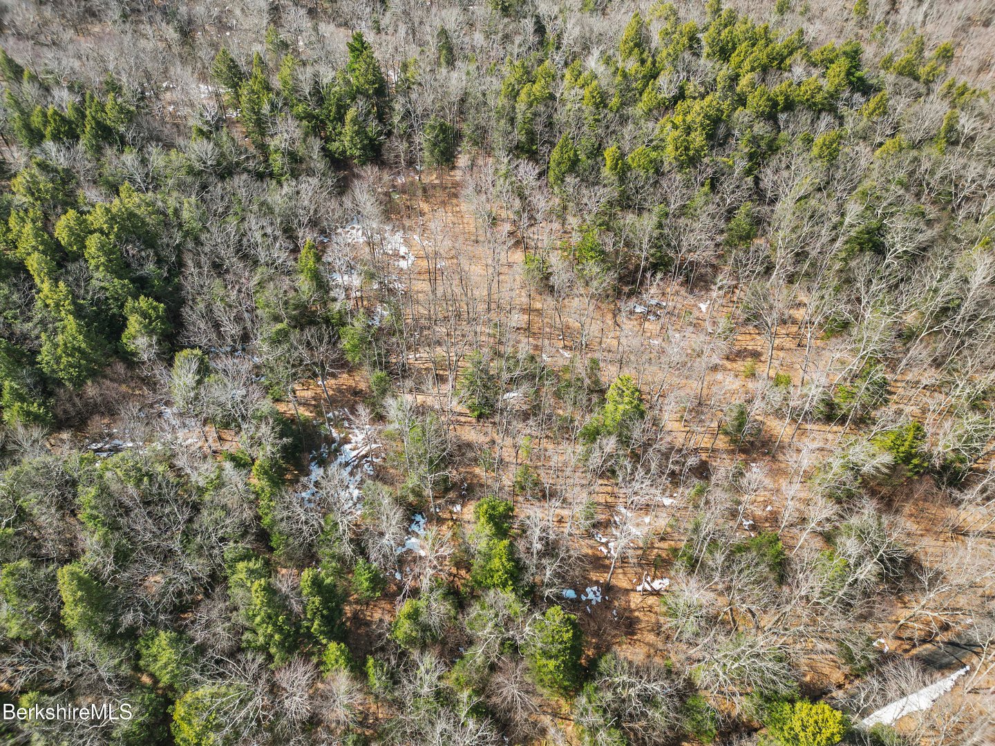 8 Hemlock Rd Photo 7