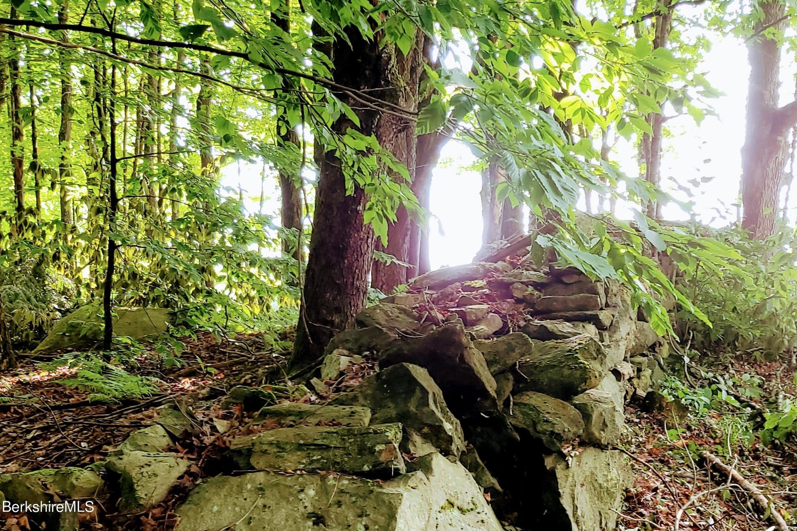 Lot 2 Leland Rd Photo 2