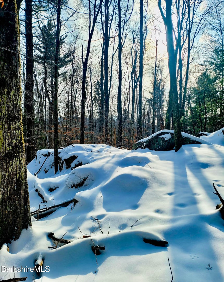 Lot 2 Leland Rd Photo 22