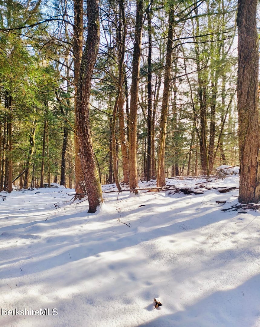 Lot 2 Leland Rd Photo 14