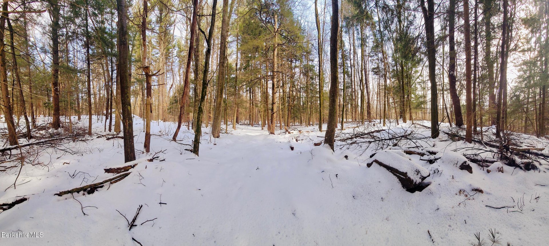 Lot 2 Leland Rd Photo 13