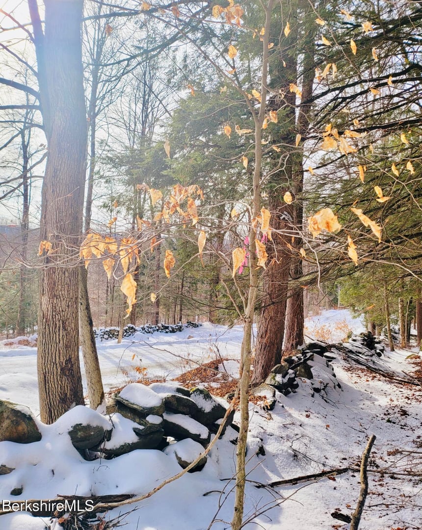 Lot 2 Leland Rd Photo 17