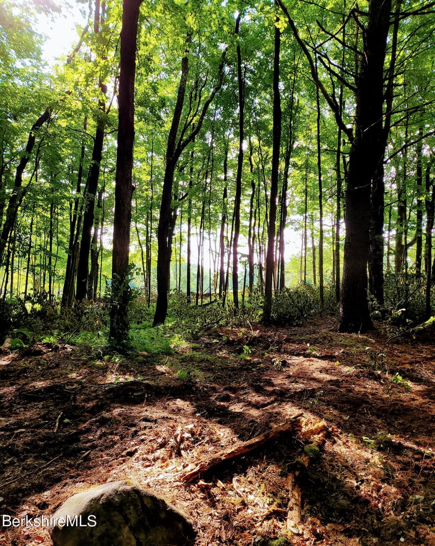 Lot 2 Leland Rd Photo 6