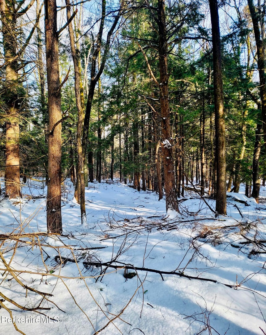 Lot 2 Leland Rd Photo 24