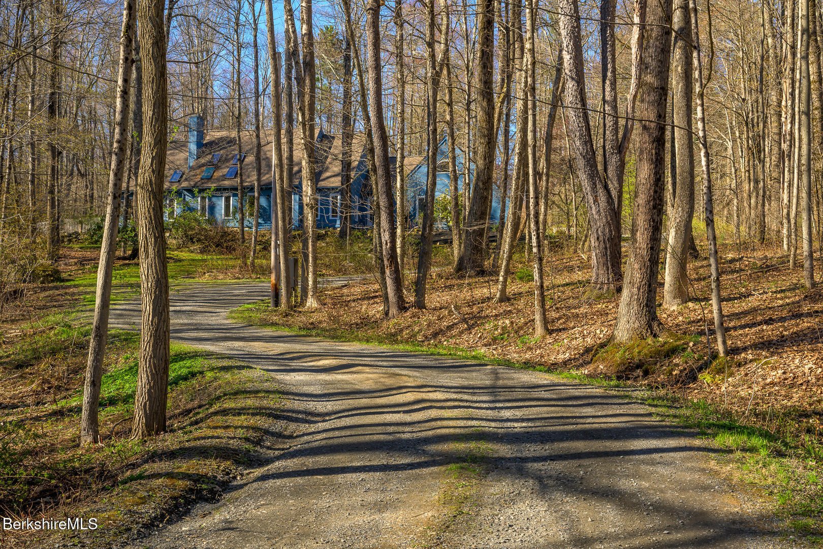 140 Beartown Mountain Rd Photo 4