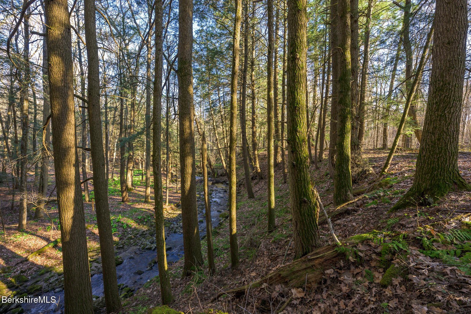 140 Beartown Mountain Rd Photo 47