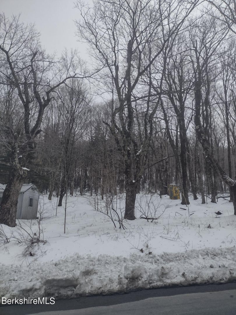 Tilda Hill Rd Photo 7