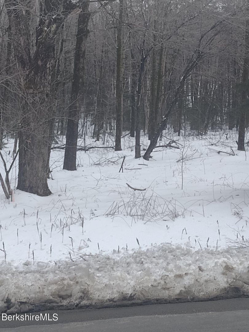 Tilda Hill Rd Photo 5