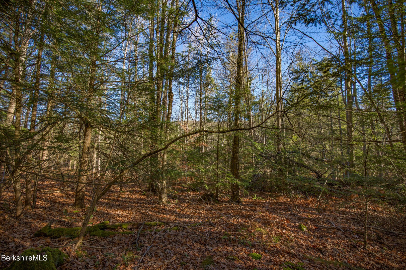 0 Goose Pond Rd Photo 3