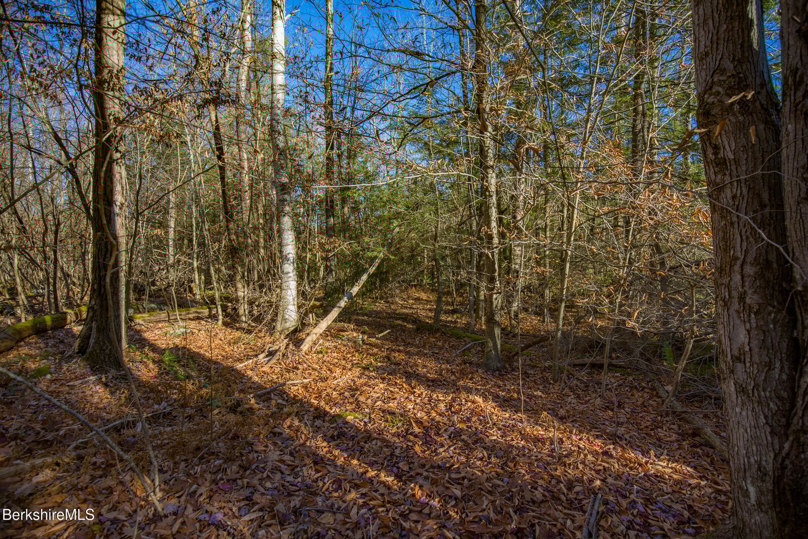 0 Goose Pond Rd Photo 16