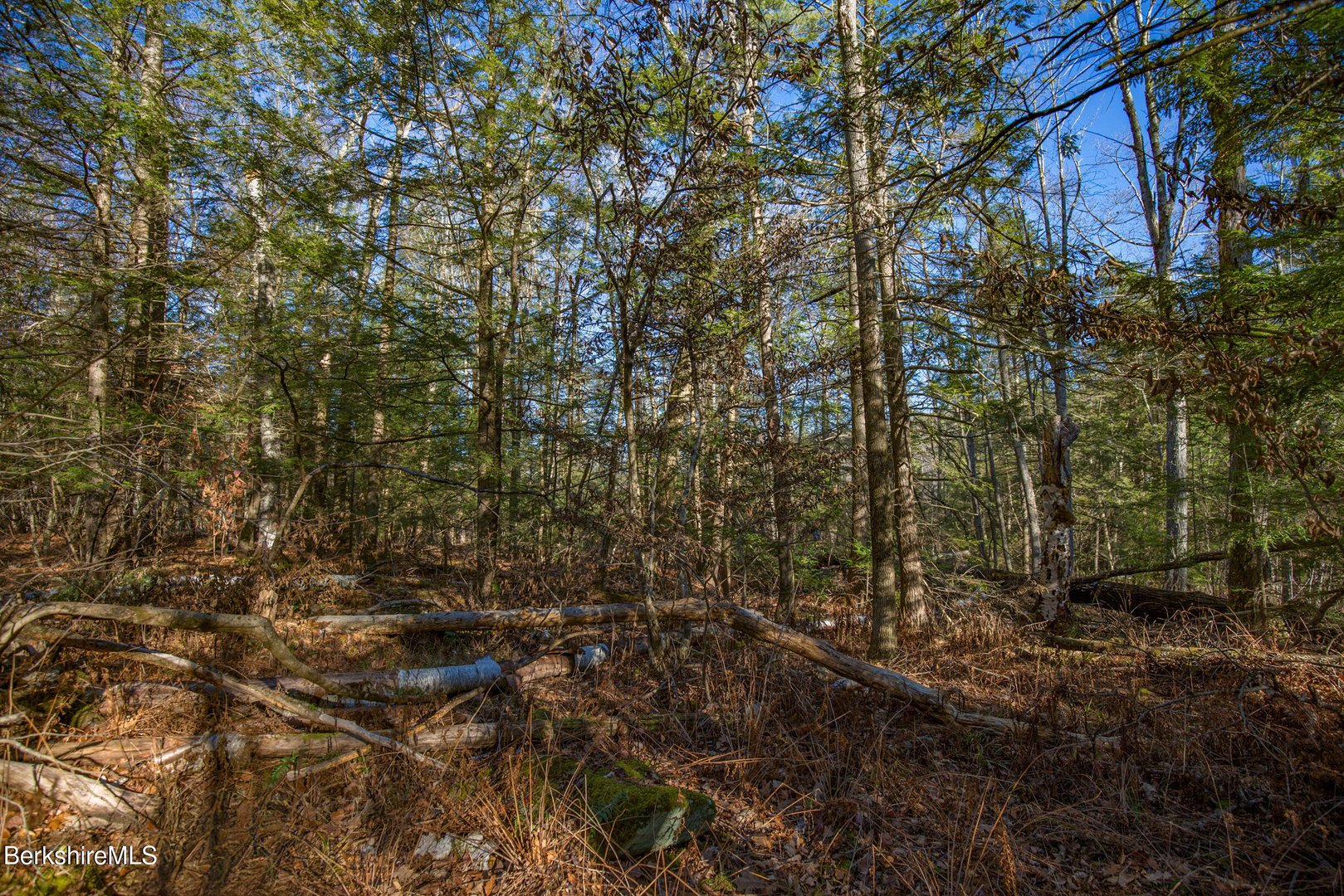 0 Goose Pond Rd Photo 12