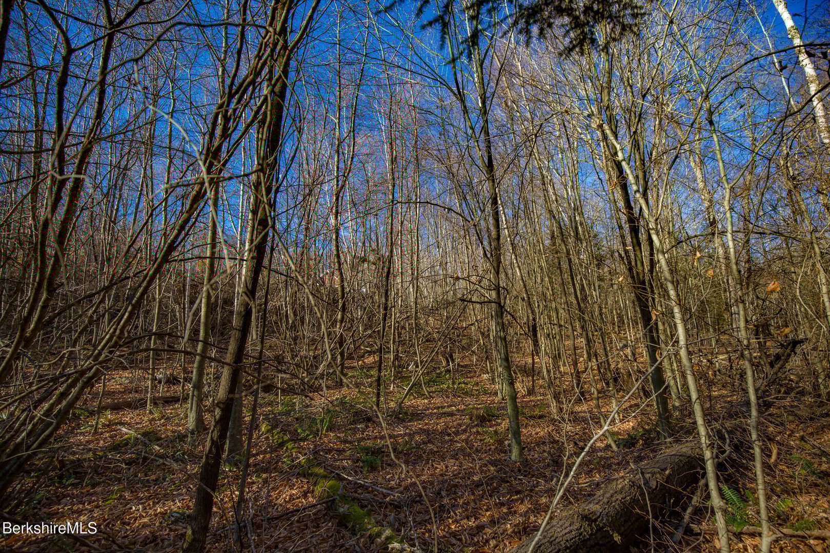 0 Goose Pond Rd Photo 14