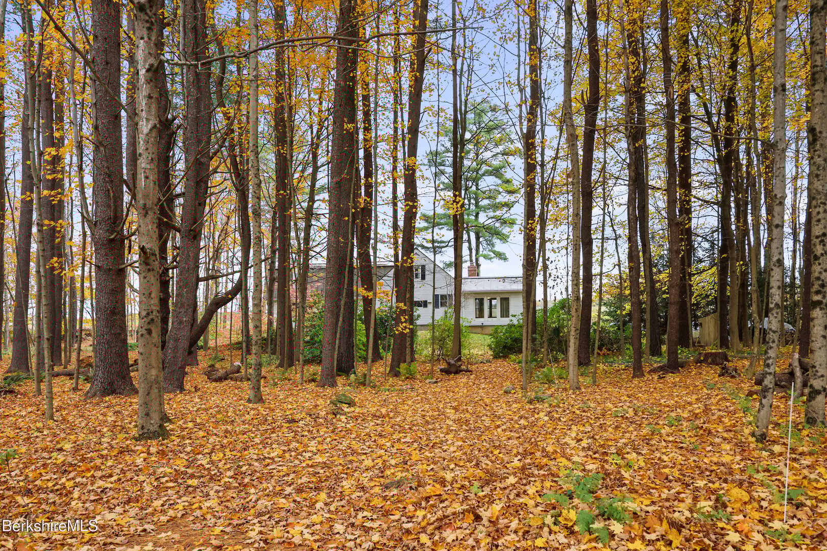 1772 Swamp Rd Photo 50