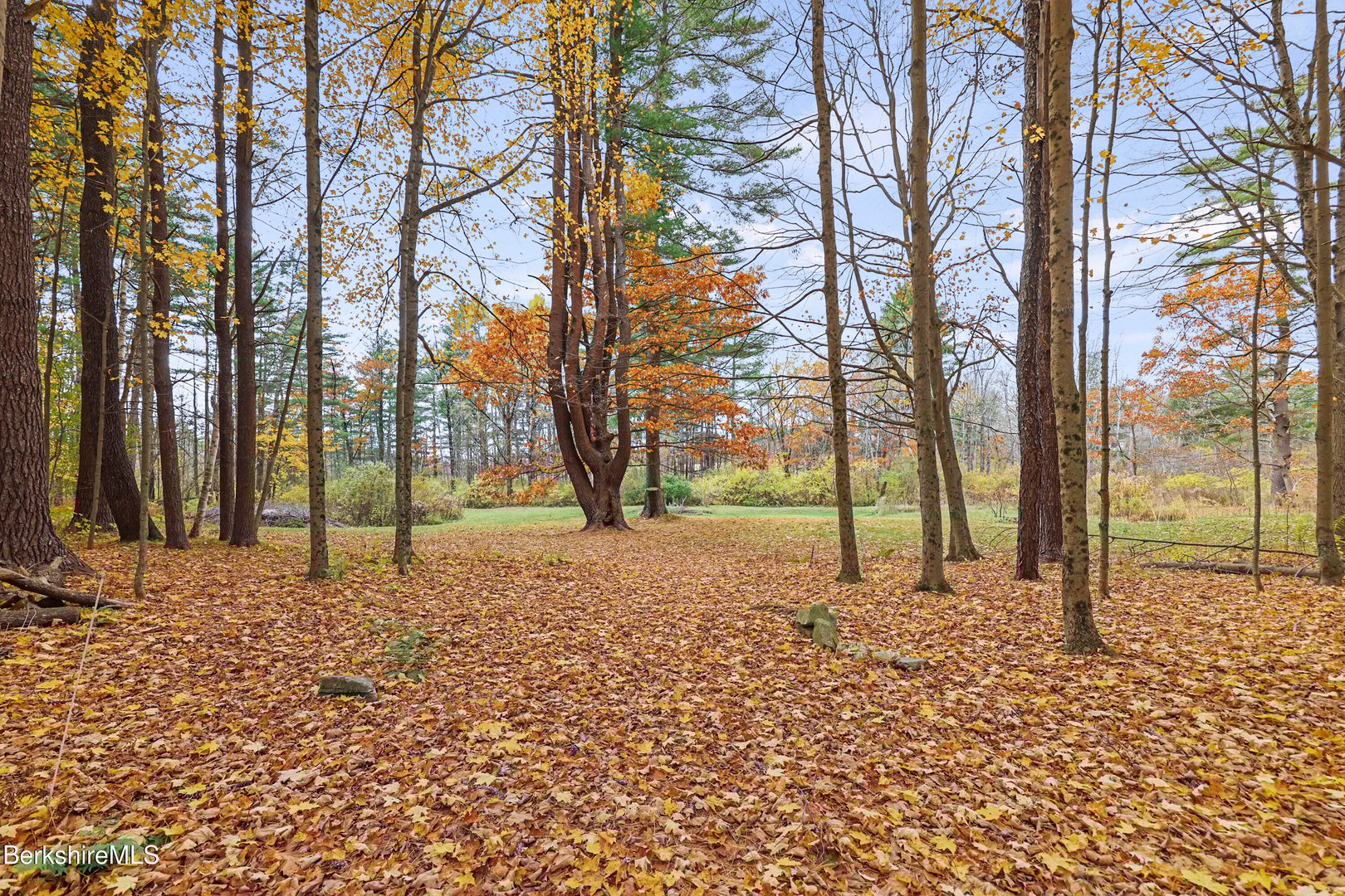 1772 Swamp Rd Photo 54