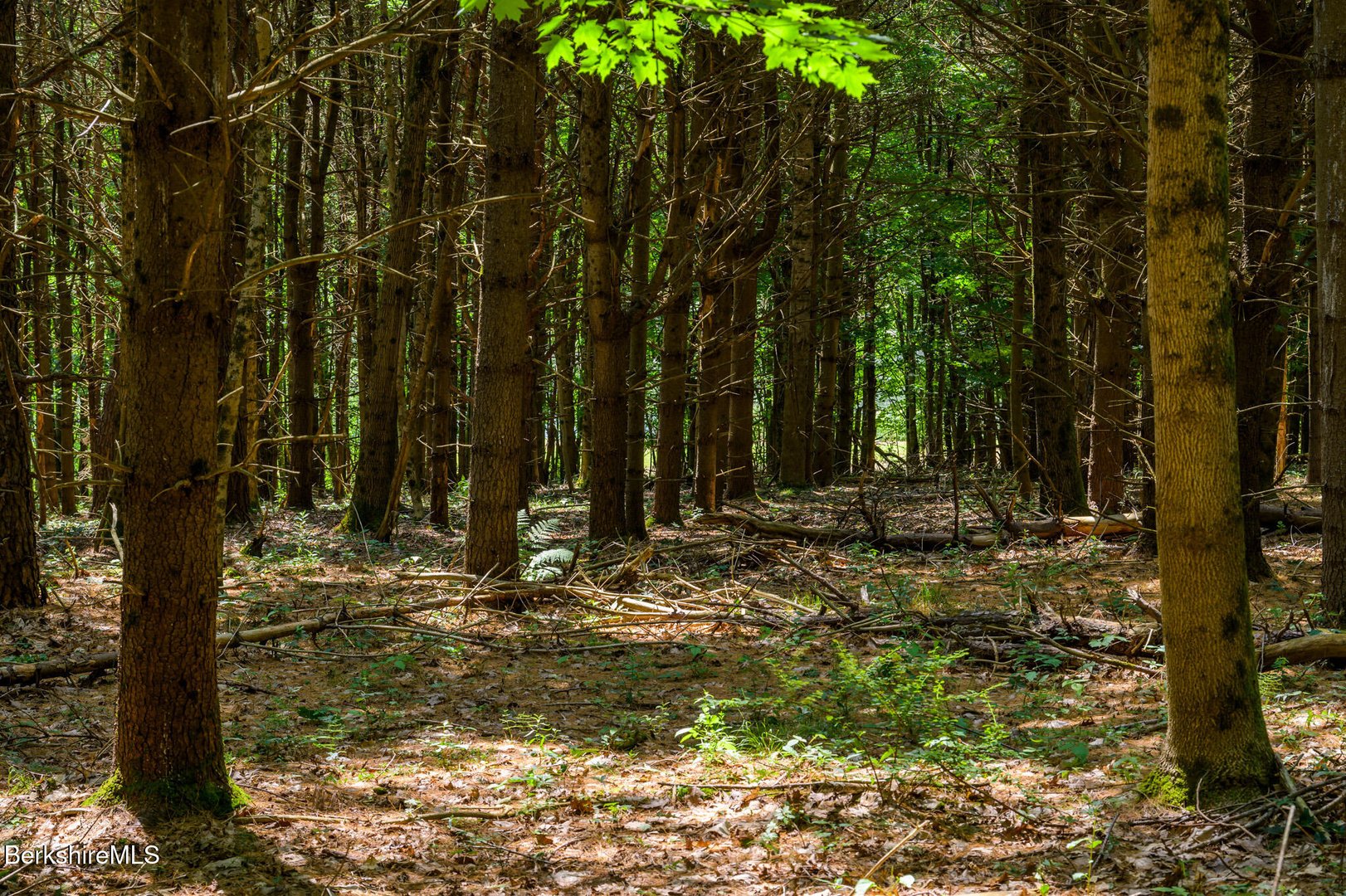 105 Norton Rd Photo 9