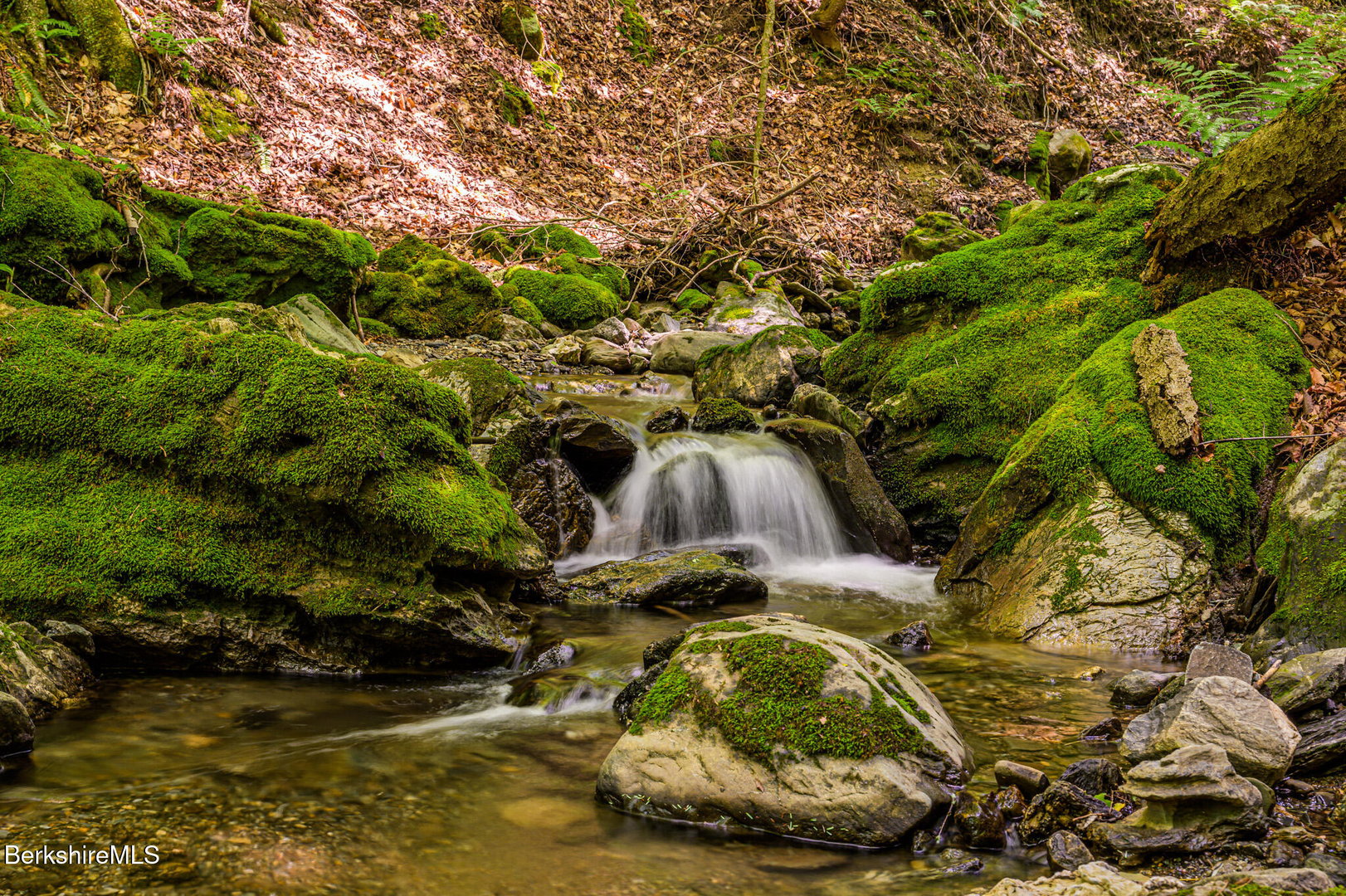 105 Norton Rd Photo 8