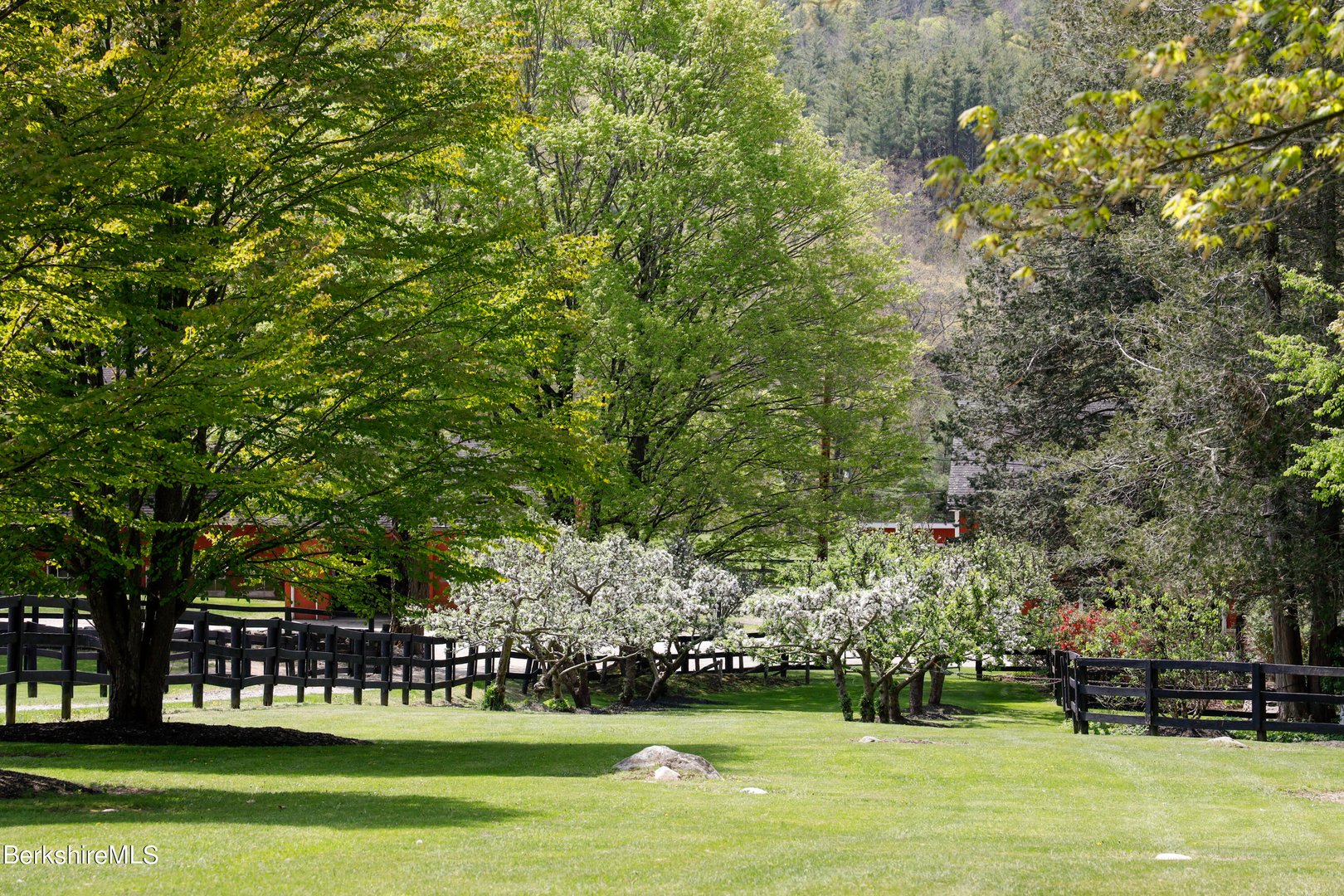 185 Keyes Hill Rd Photo 41