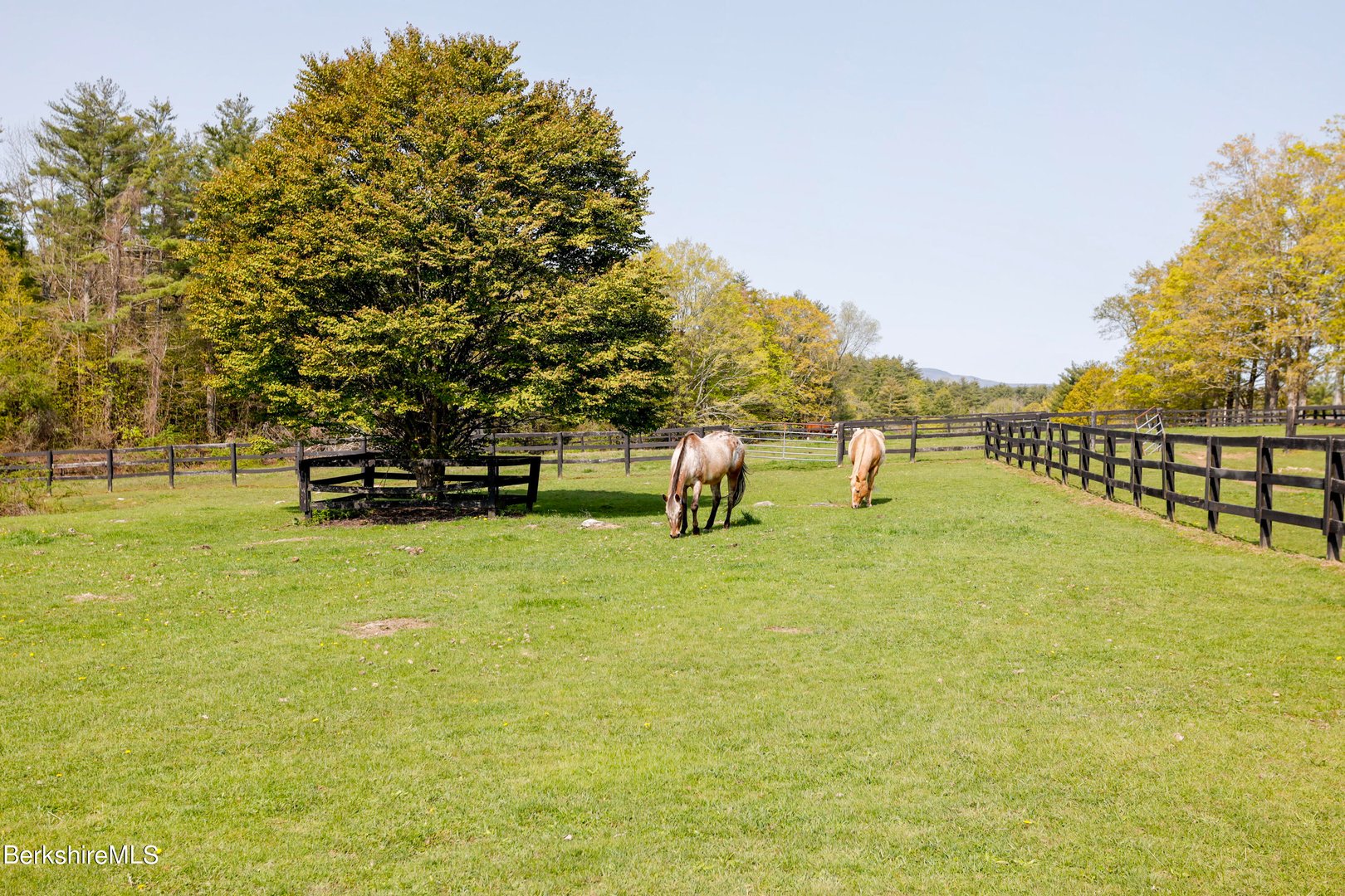 185 Keyes Hill Rd Photo 34