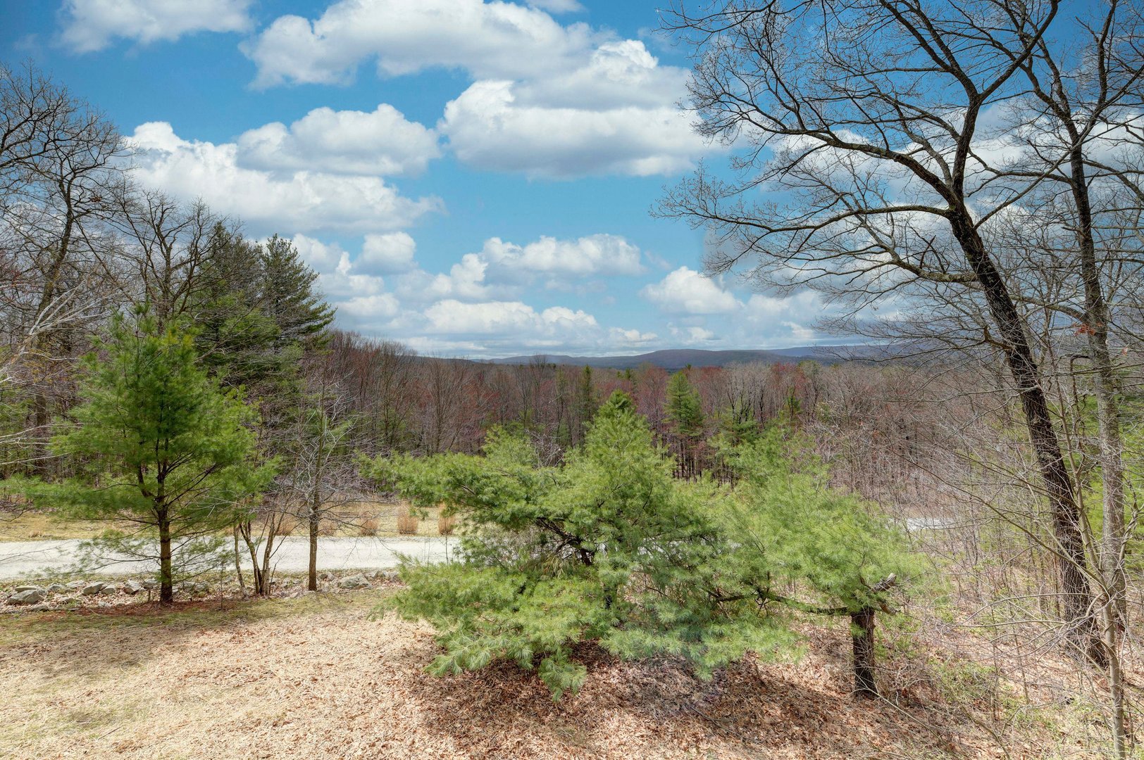481 Shunpike Rd Photo 7