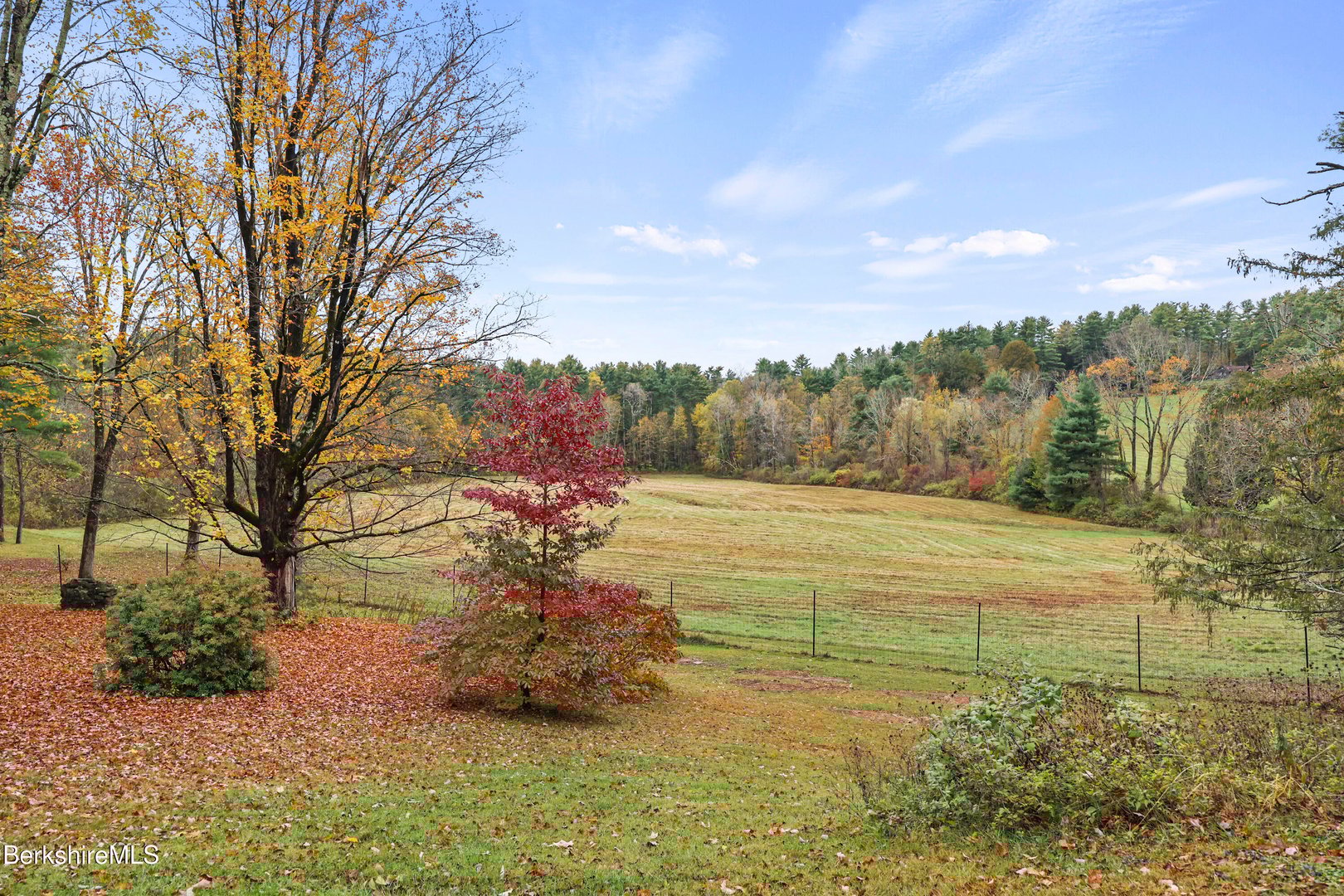 20 Sheffield Egremont Rd Photo 59