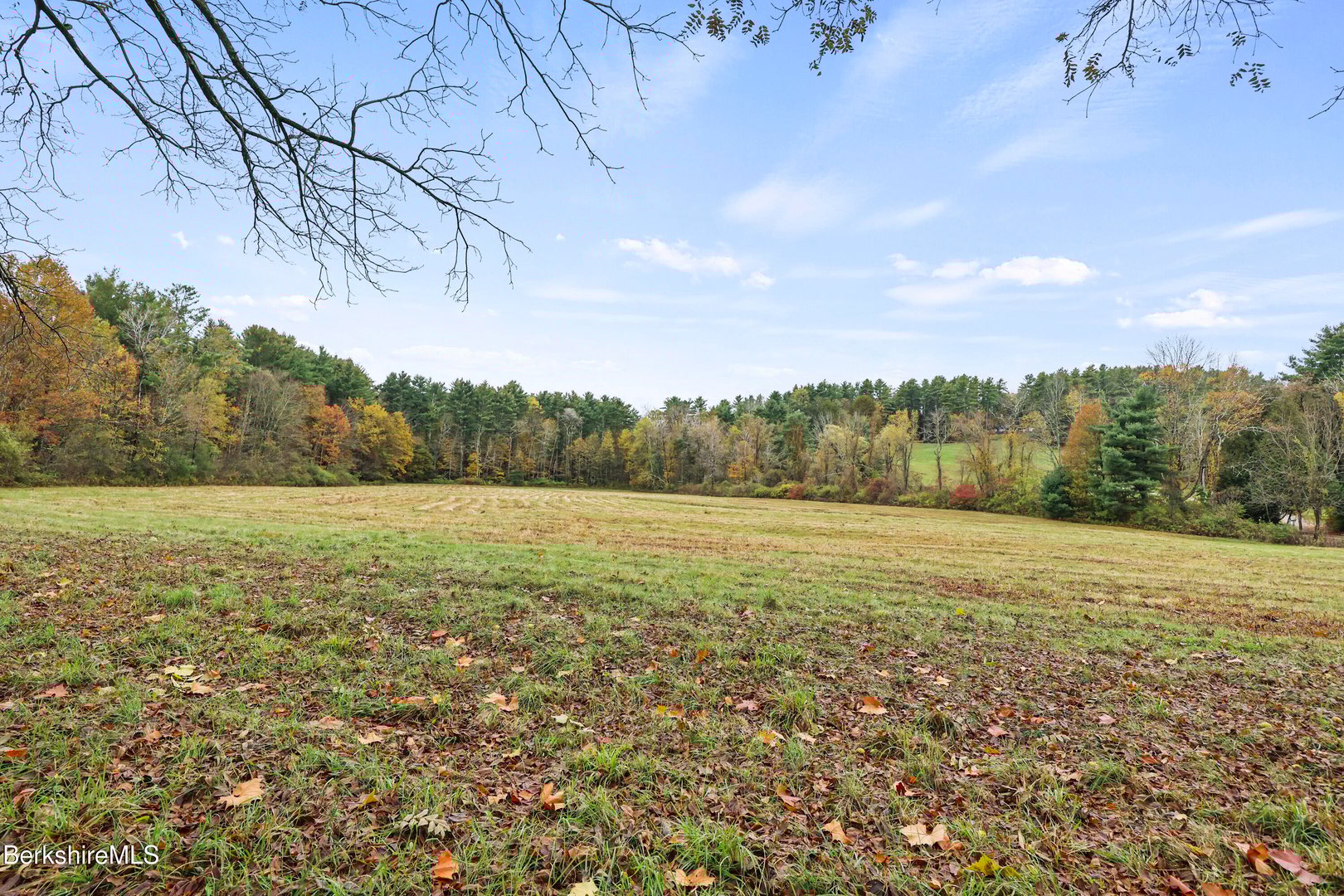 20 Sheffield Egremont Rd Photo 60