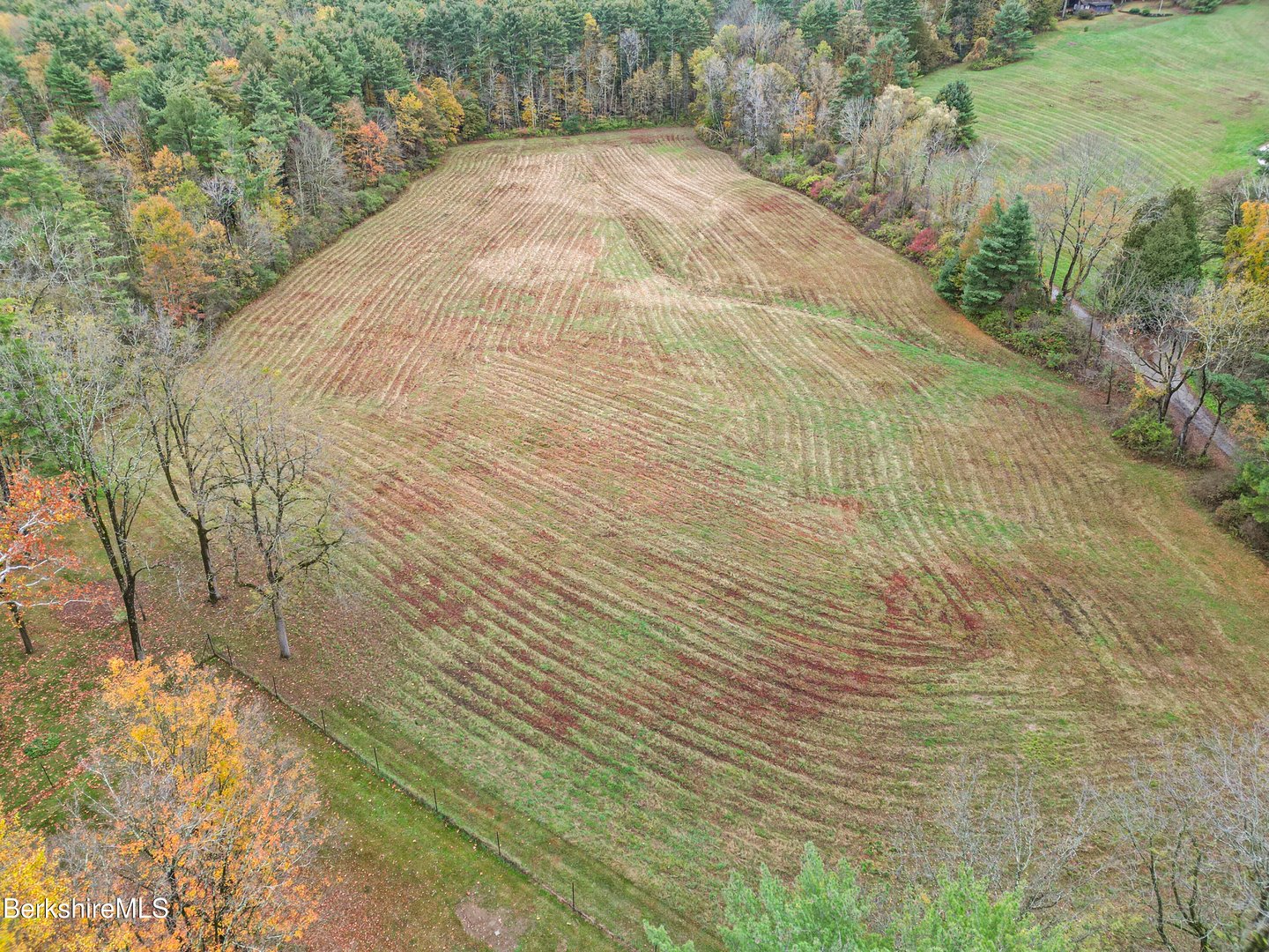 20 Sheffield Egremont Rd Photo 67