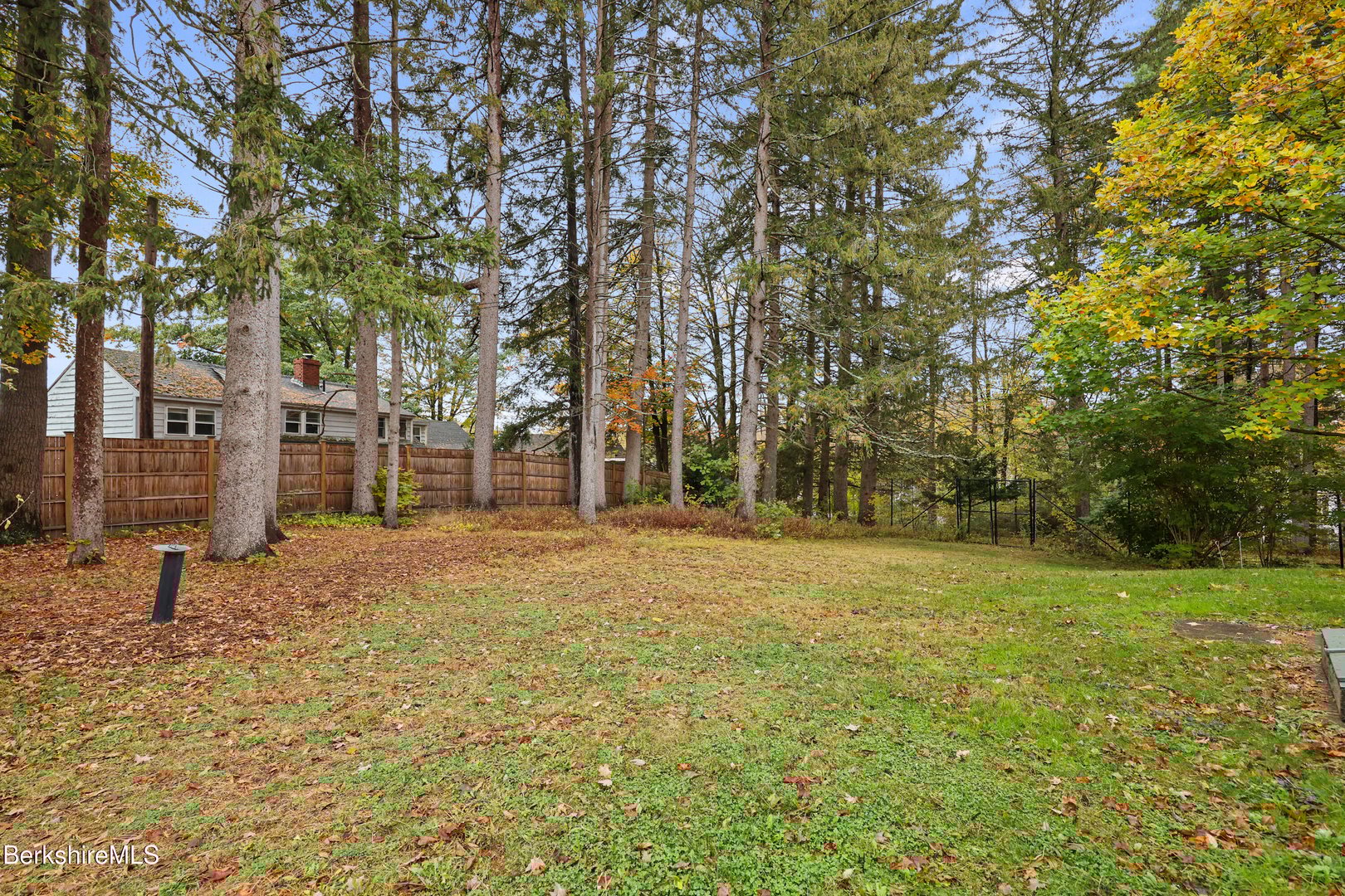 20 Sheffield Egremont Rd Photo 51