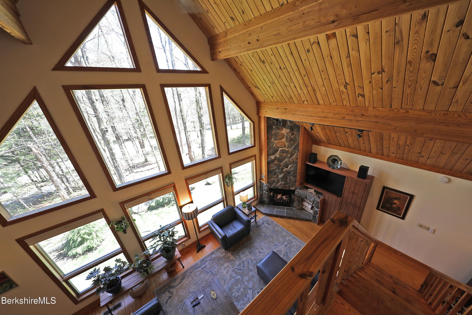 55 Mallard Dr Photo 31