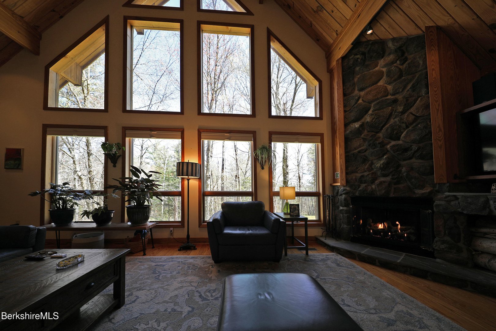 55 Mallard Dr Photo 9