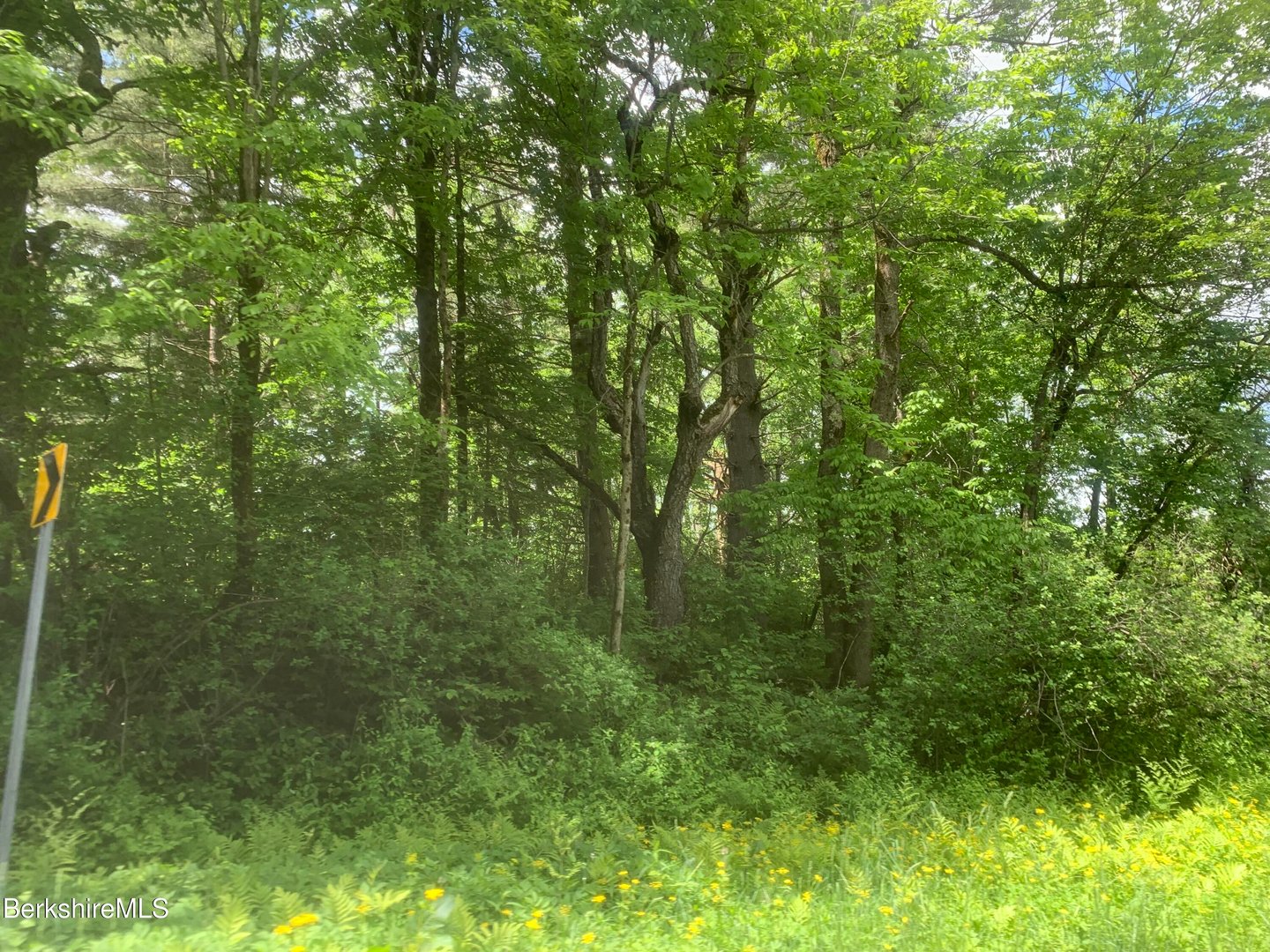 E Windsor Rd Photo 1