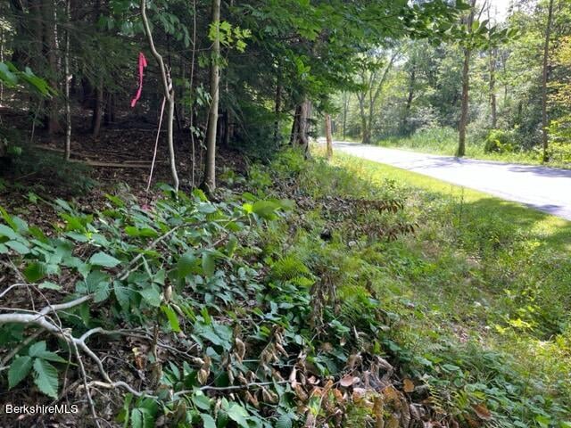 0 Goose Pond Rd Photo 8