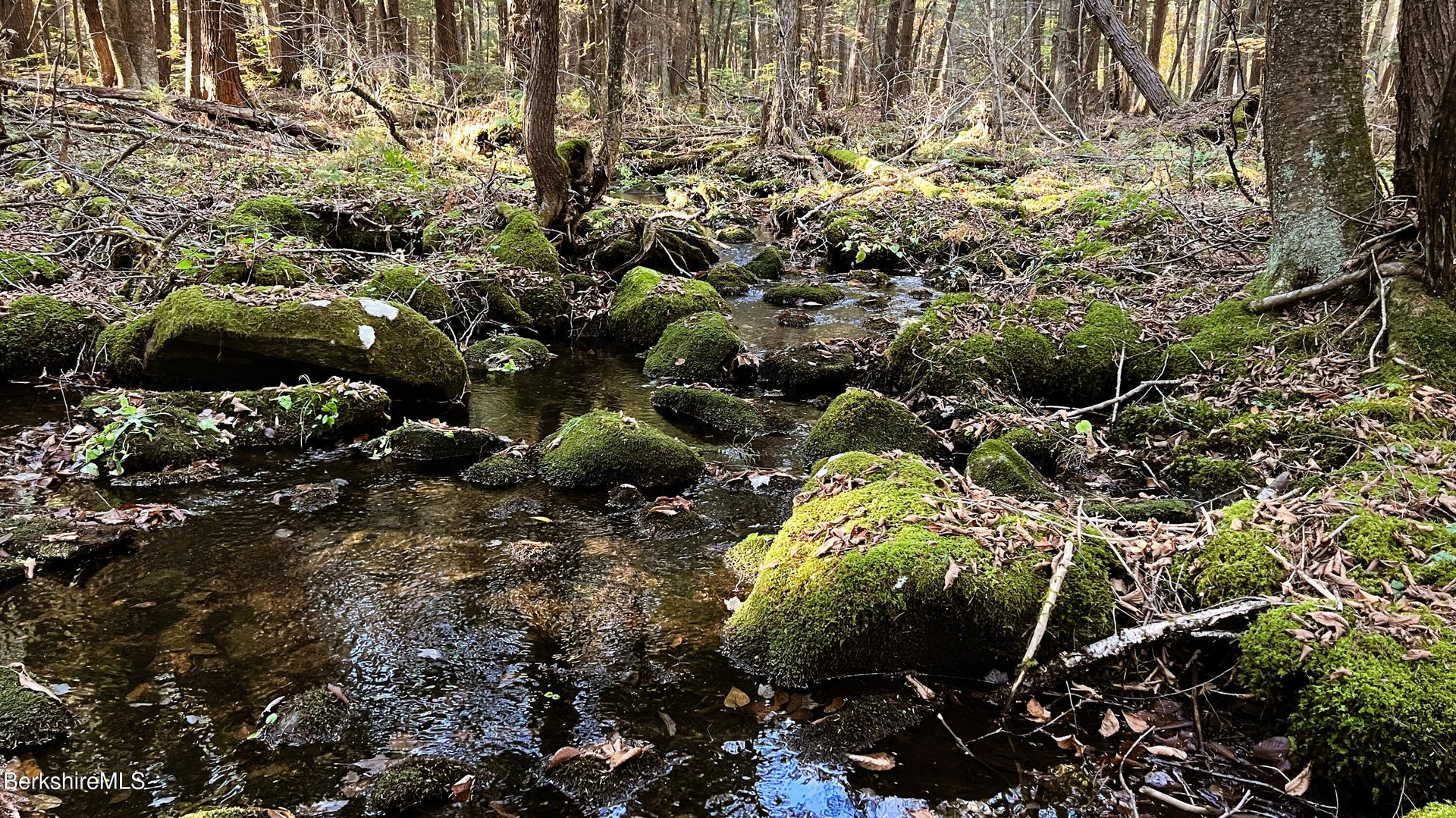 Lot1 Marcy Rd Photo 4