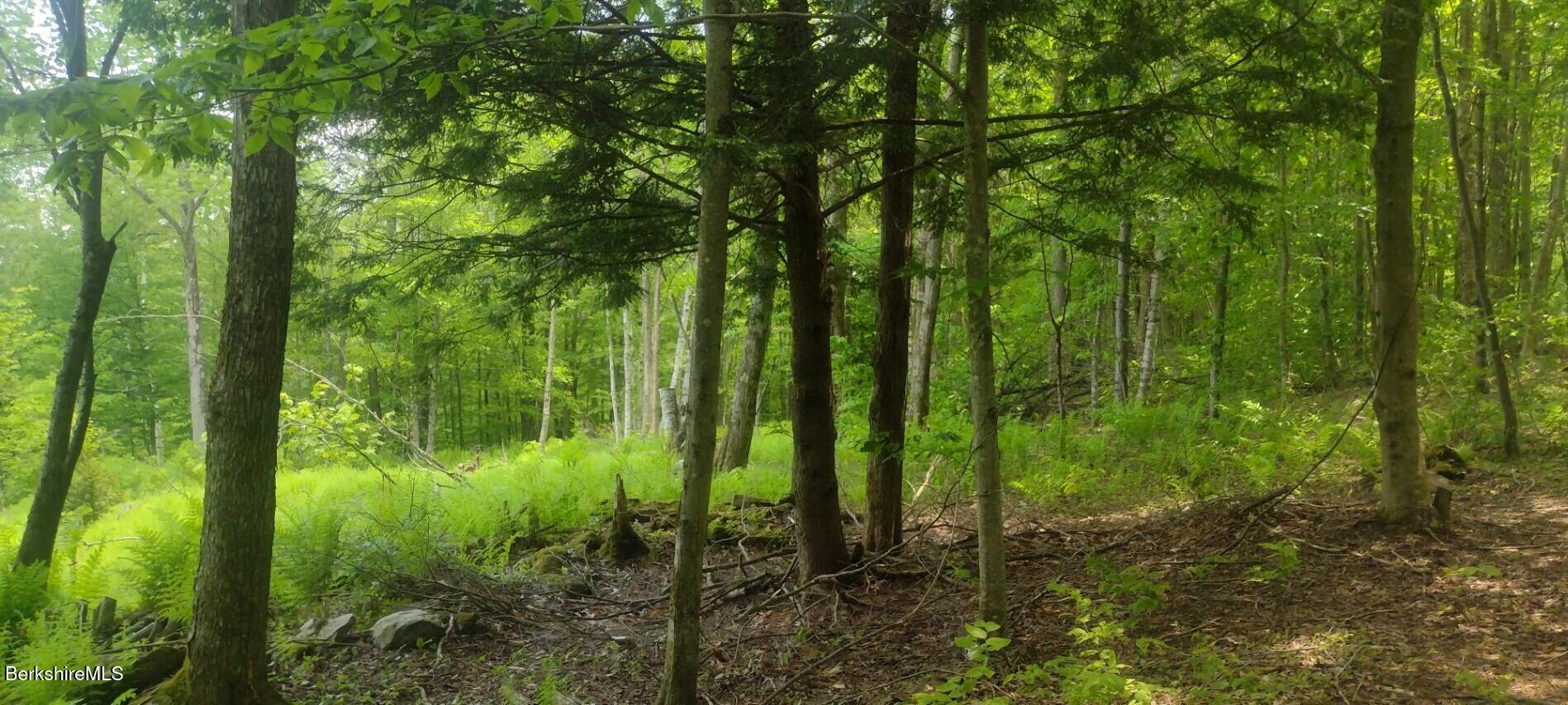 140 Strykers Rd Photo 8