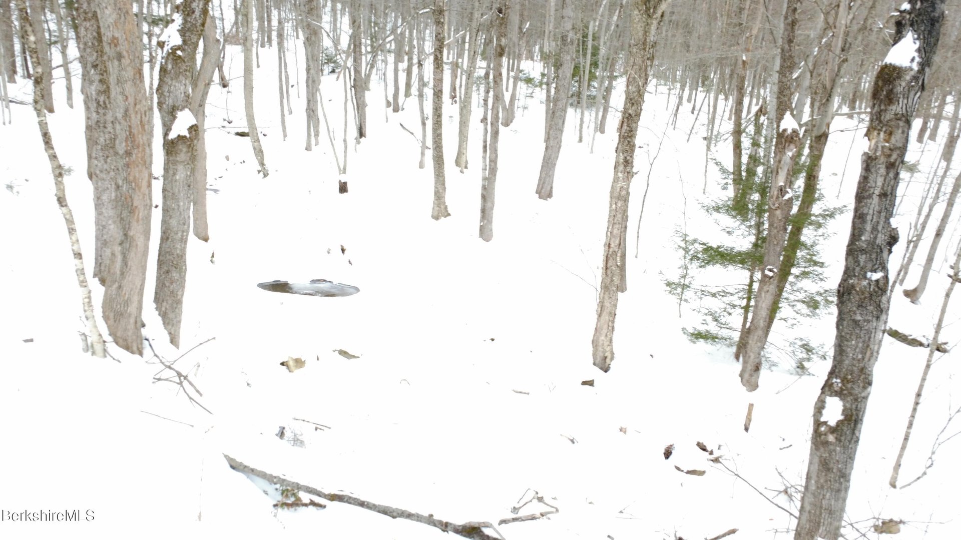 140 Strykers Rd Photo 19