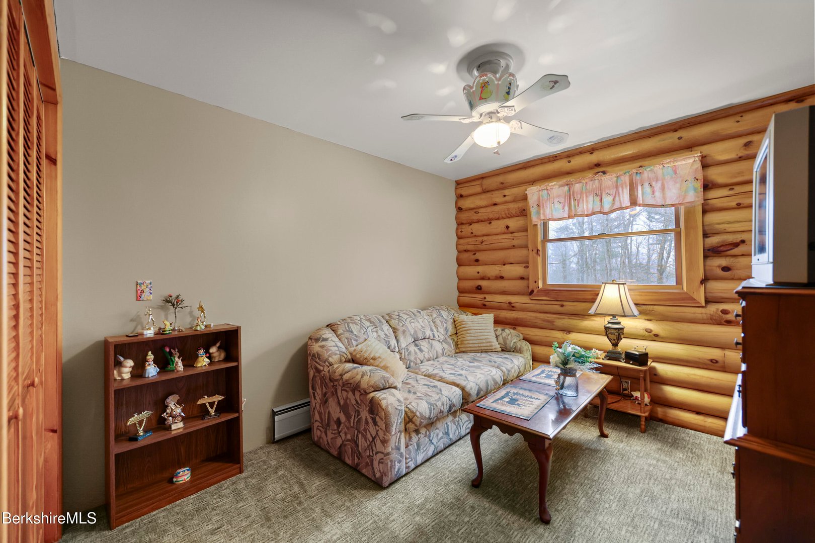 567 George Schnopp Rd Photo 36