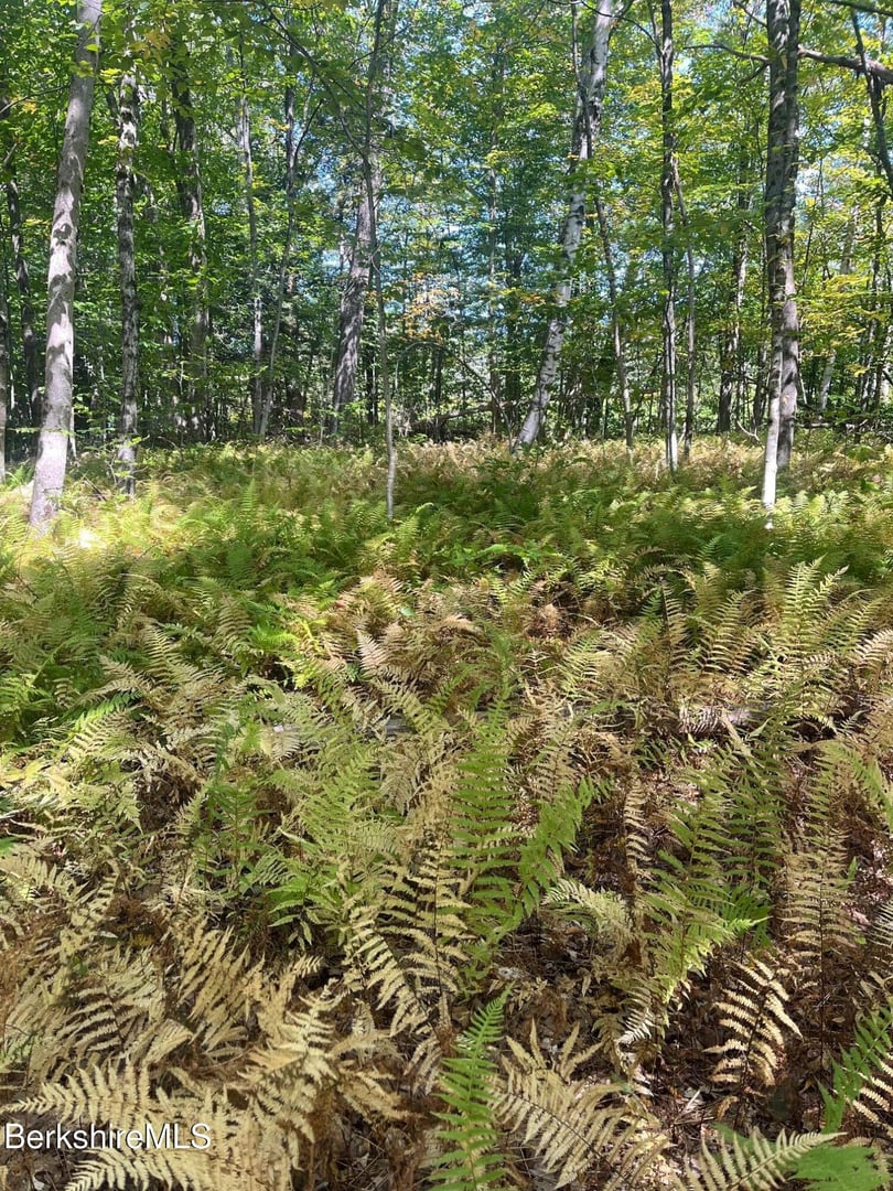 0 Central Shaft Rd Photo 3