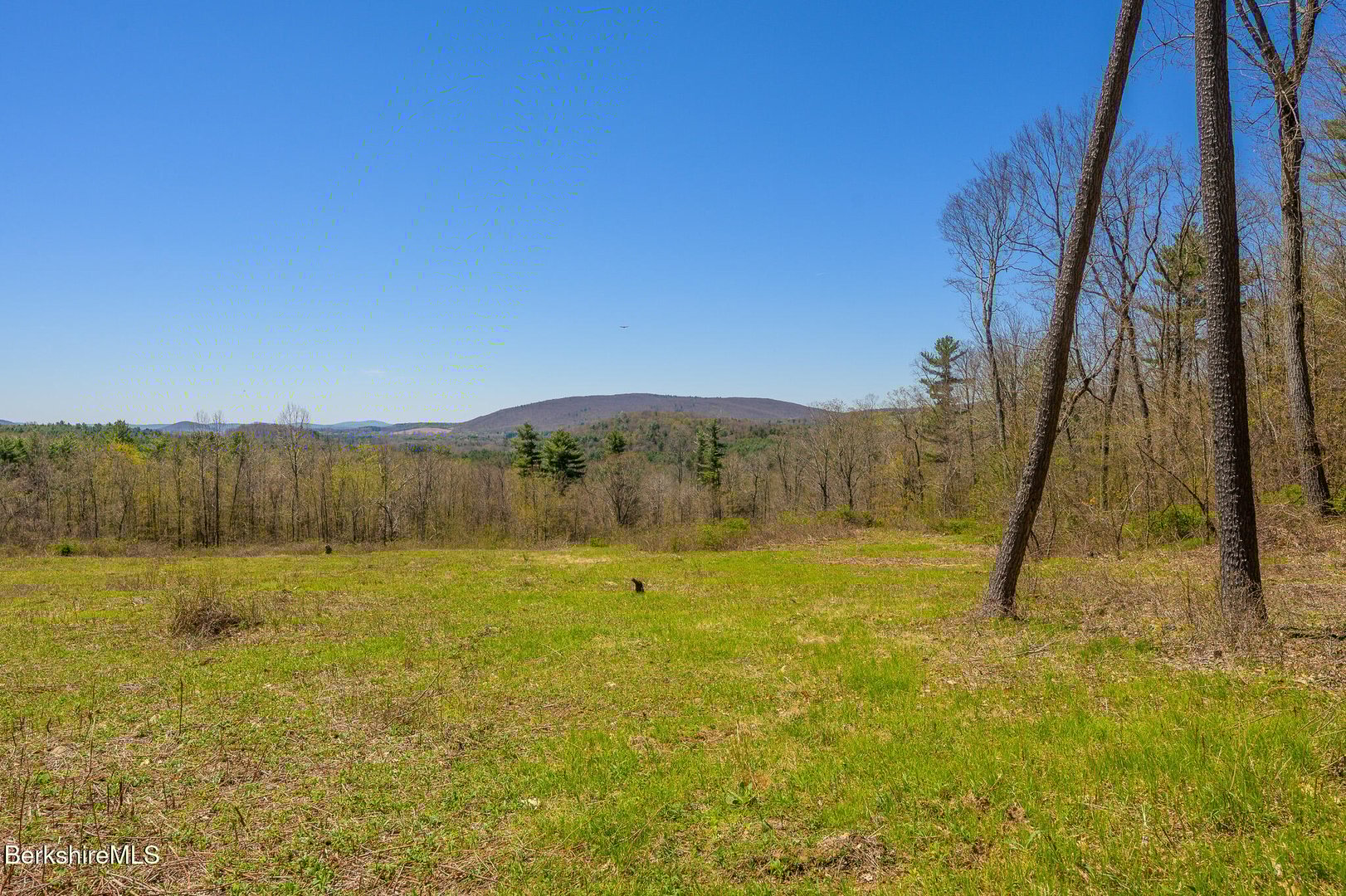 Mitchell St Photo 19