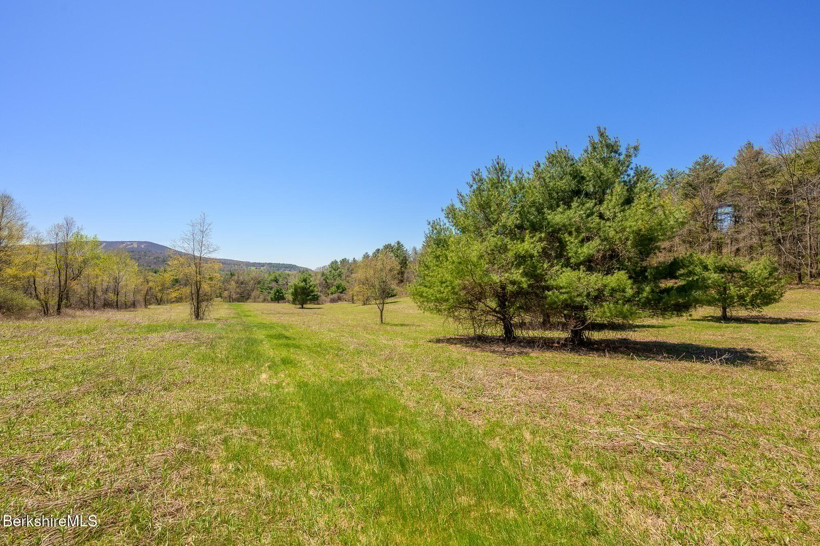 Mitchell St Photo 14