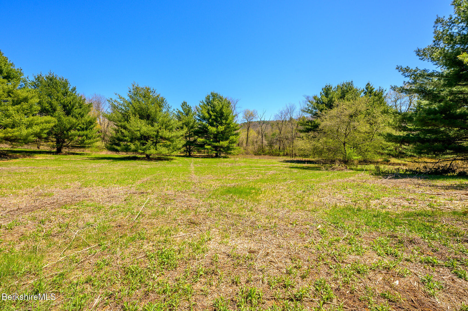 Mitchell St Photo 11