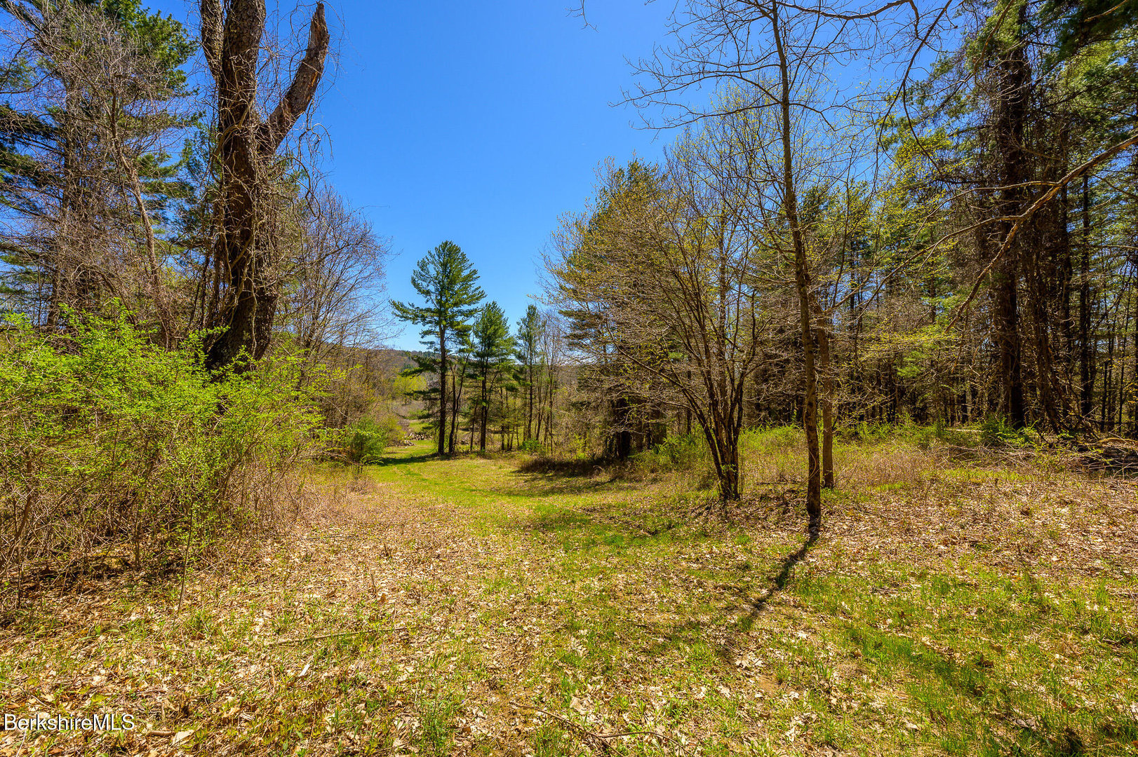 Mitchell St Photo 17