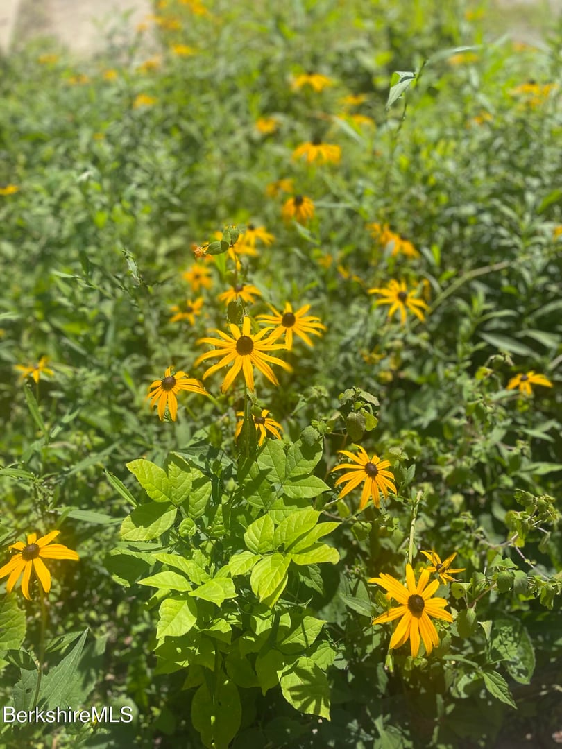 14 Blotz Rd Photo 21