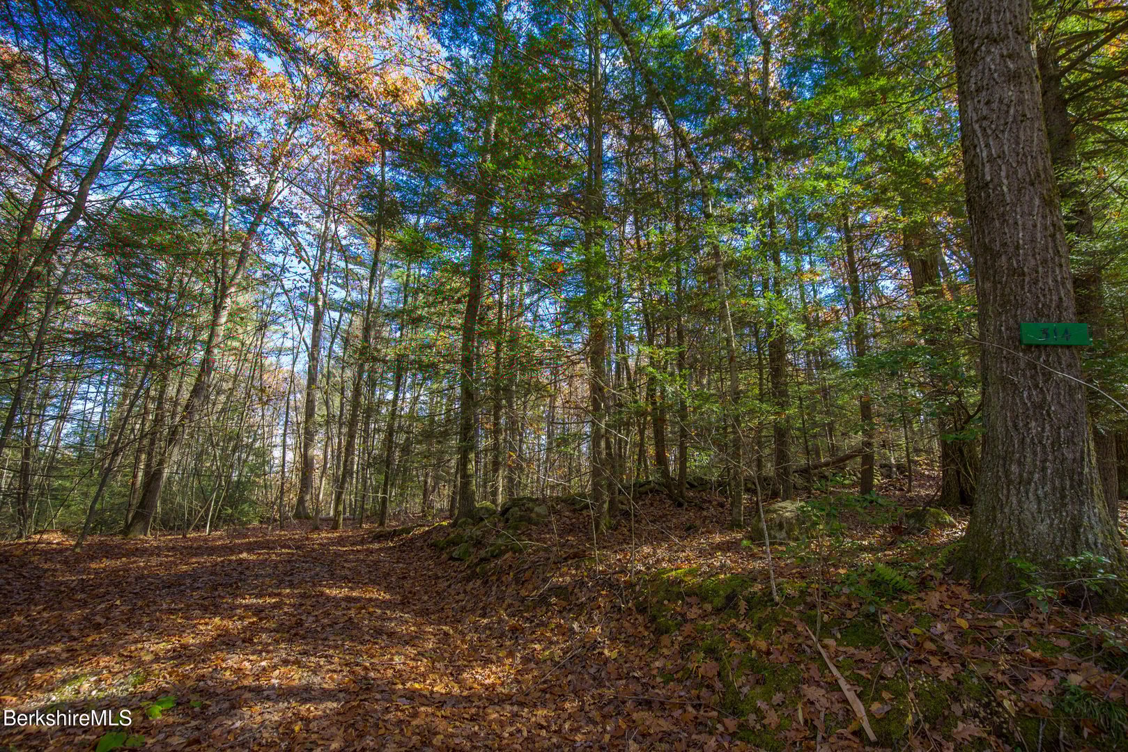 314 & 316 Lakeshore Dr Photo 6