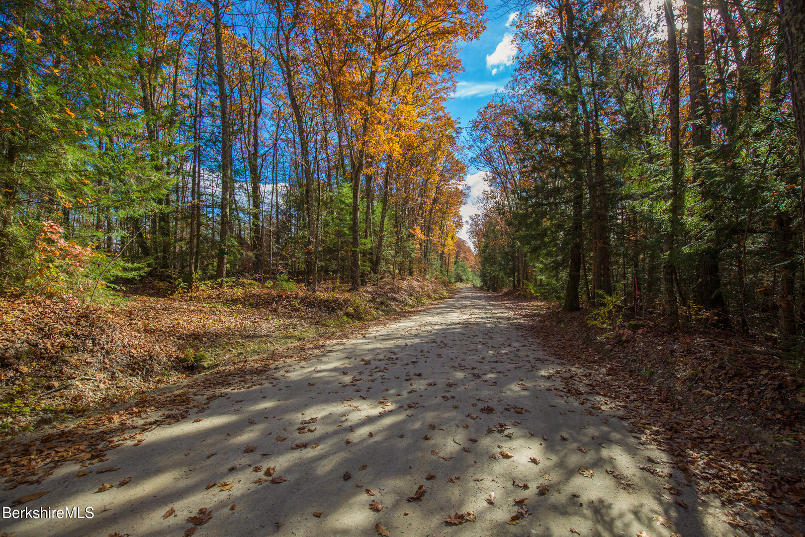 314 & 316 Lakeshore Dr Photo 2