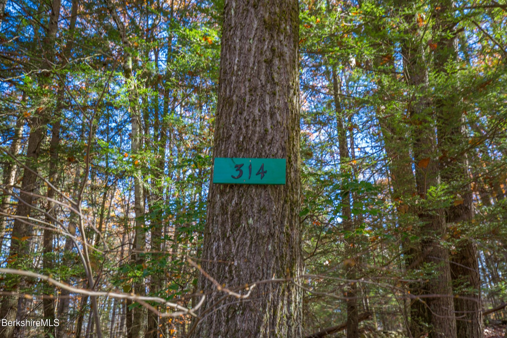 314 & 316 Lakeshore Dr Photo 5