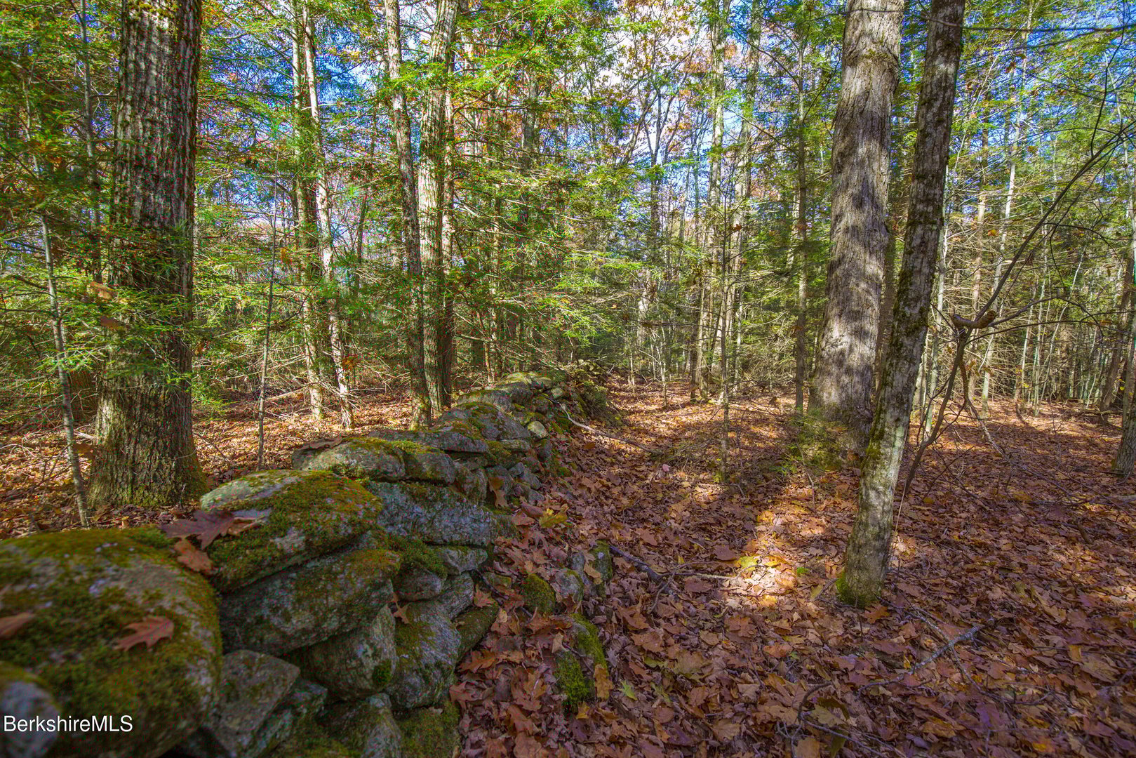 314 & 316 Lakeshore Dr Photo 3