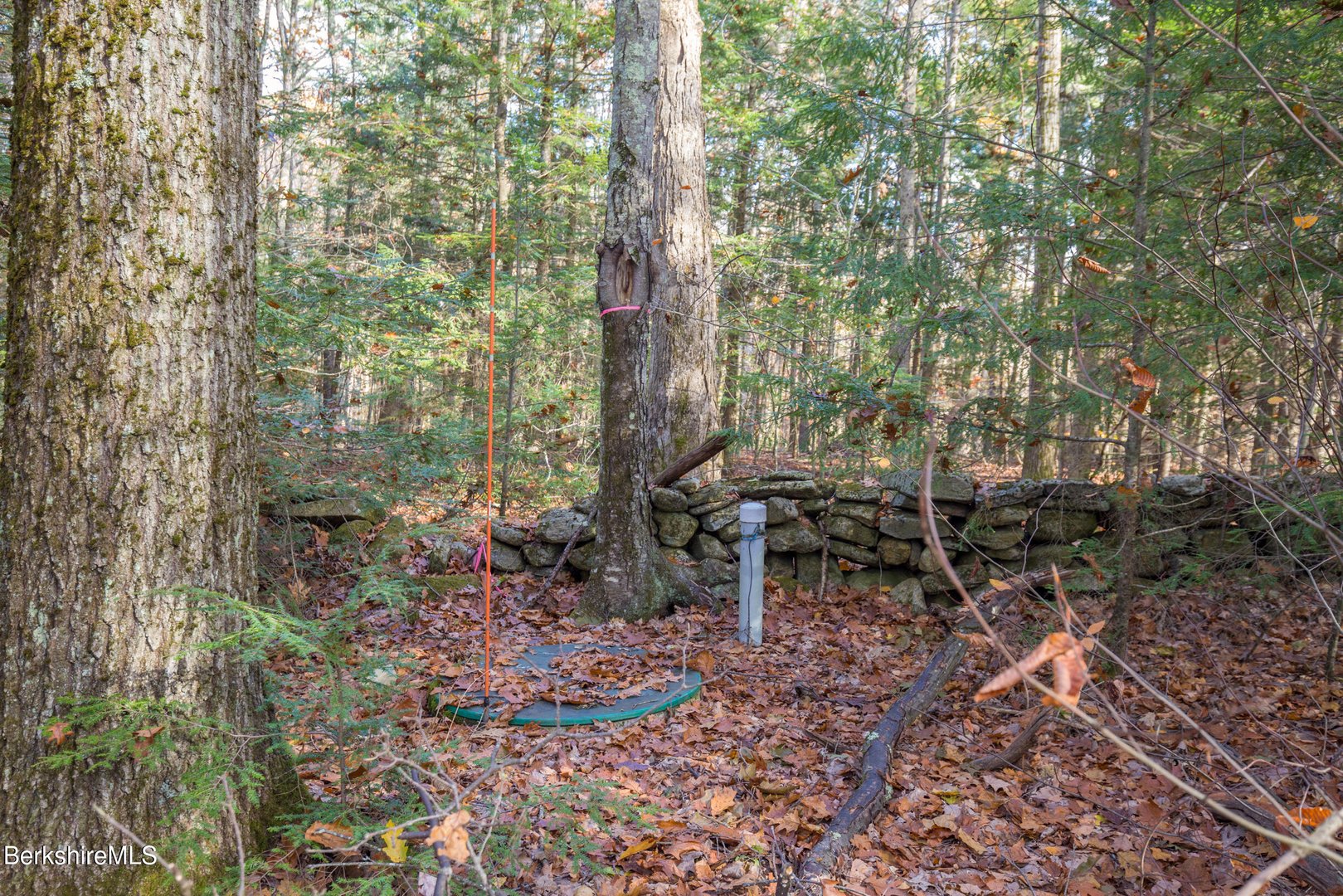 314 & 316 Lakeshore Dr Photo 4