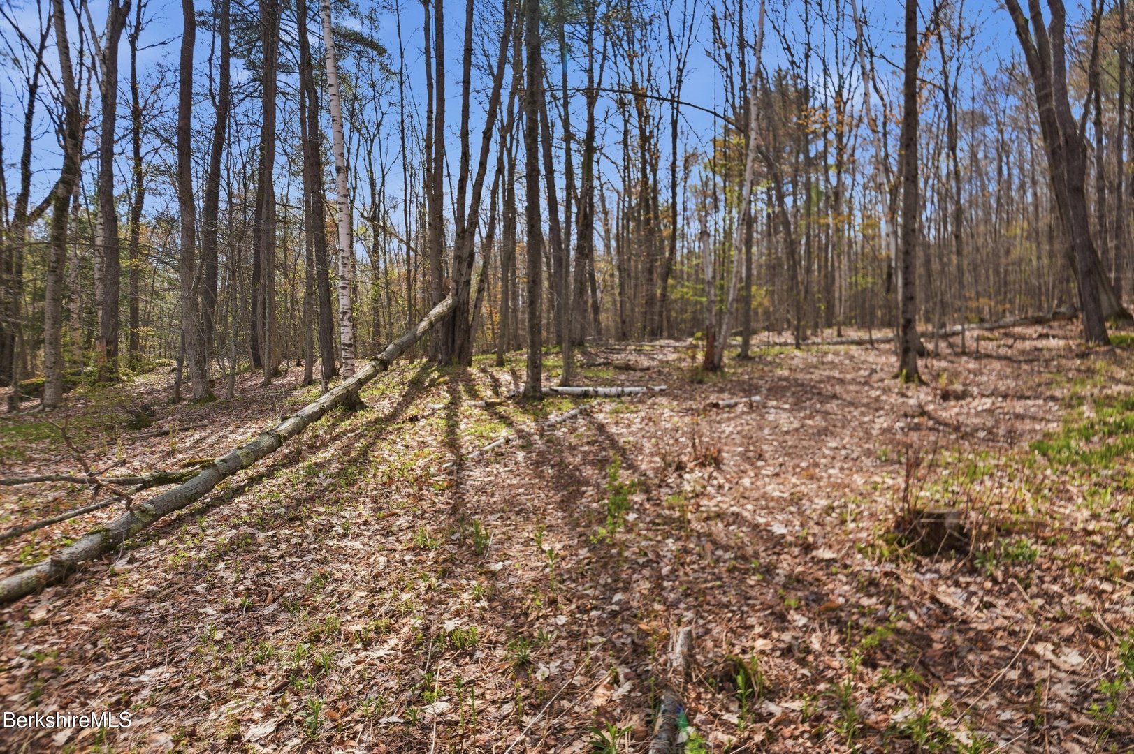 475 West Rd Photo 39