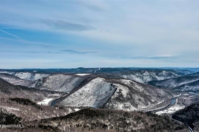 335 Mohawk Trail Photo 11