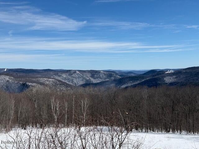 335 Mohawk Trail Photo 19