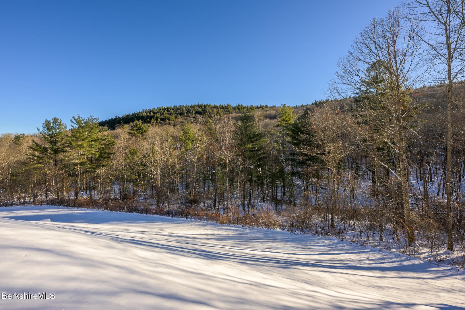 83 Maple Hill Rd Photo 4